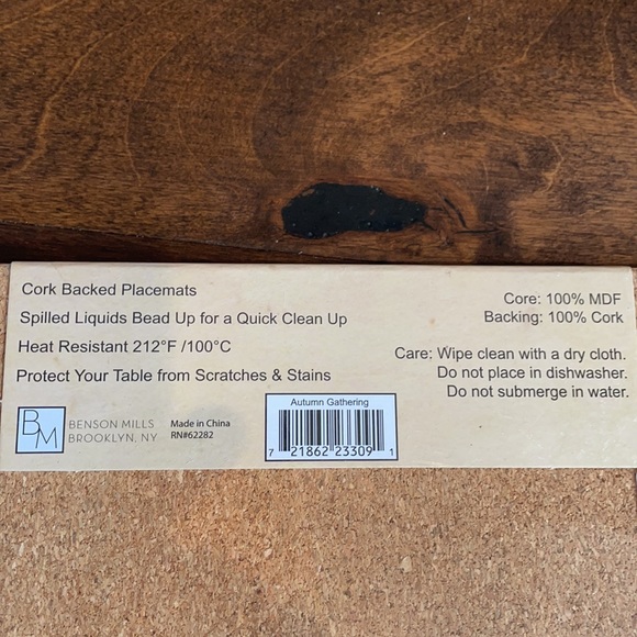 4 PLACEMATS CORK BACK FALL, LEAVES PUMPKINS - Picture 4 of 4